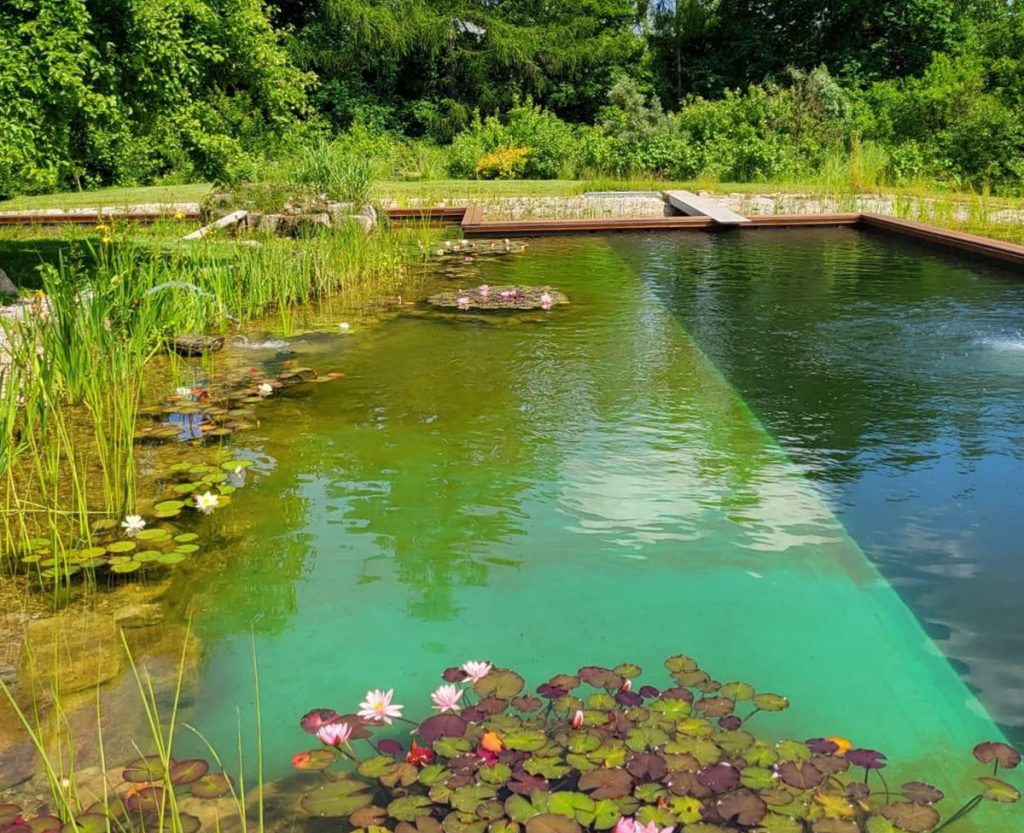 Biotopické zahradní jezero Zlín